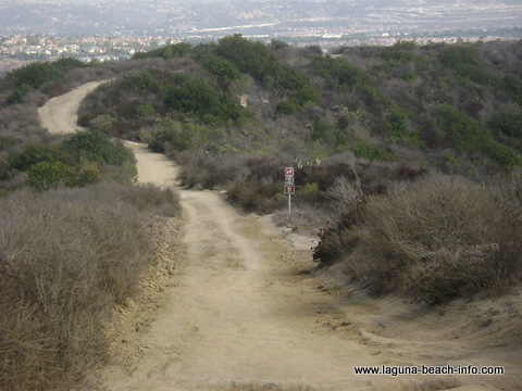 West Ridge Trail in Laguna Beach